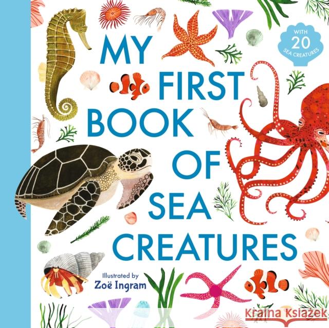 My First Book of Sea Creatures Zoe Ingram Zoe Ingram  9781406394924 Walker Books Ltd - książka