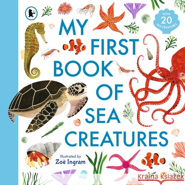 My First Book of Sea Creatures  9781529504088 Walker Books Ltd - książka