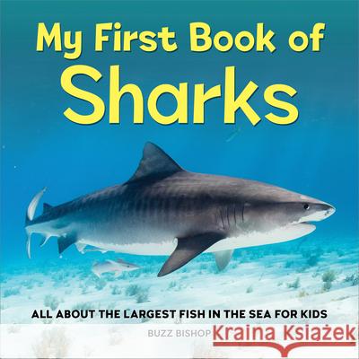 My First Book of Sharks: All about the Largest Fish in the Sea for Kids Buzz Bishop 9781685396404 Rockridge Press - książka
