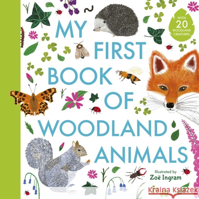 My First Book of Woodland Animals Zoe Ingram   9781406391572 Walker Books Ltd - książka