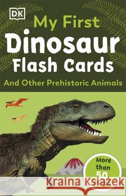 My First Dinosaur Flash Cards DK 9780241491591 Dorling Kindersley Ltd - książka