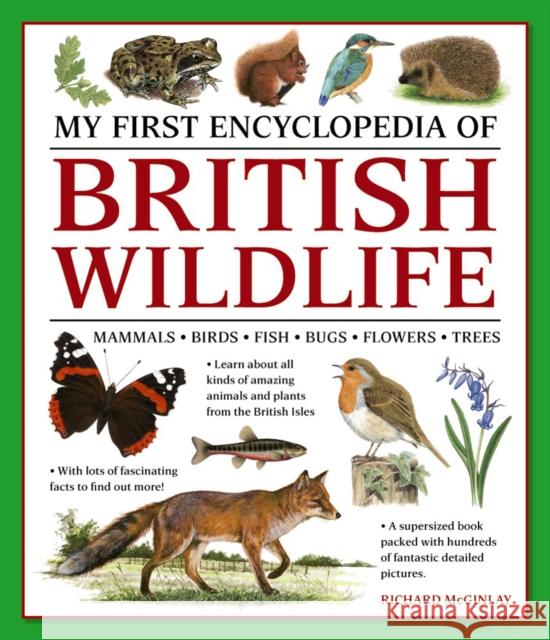 My First Encyclopedia of British Wildlife: Mammals, Birds, Fish, Bugs, Flowers, Trees Richard McGinlay 9781861478498 Anness Publishing - książka