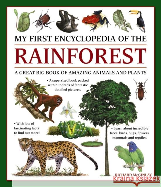 My First Encyclopedia of the Rainforest: A Great Big Book of Amazing Animals and Plants  9781861478481 Armadillo Music - książka