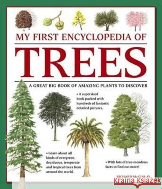 My First Encyclopedia of Trees (giant Size) Mcginlay Richard 9781861478252 Anness Publishing - książka