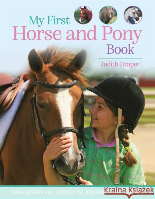 My First Horse and Pony Book: From breeds and bridles to jodhpurs and jumping Judith Draper 9780753448793 Pan Macmillan - książka