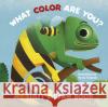 My First Jigsaw Book: What Color Are You? Ronny Gazzolla 9788854413948 White Star