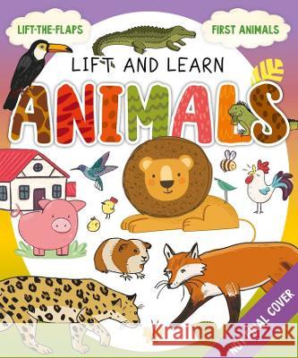 My First Lift-The-Flap: Animals Clever Publishing                        Sonya Korobkova 9781954738713 Clever Publishing - książka
