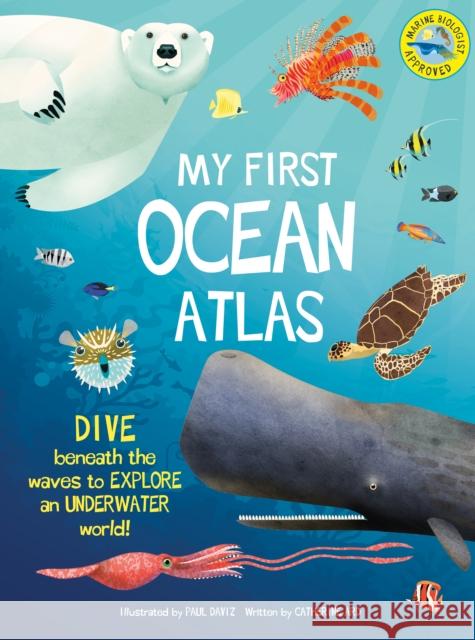 My First Ocean Atlas Catherine Ard 9781915588456 Weldon Owen Children's Books - książka
