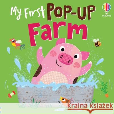 My First Pop-up Farm Anna Milbourne 9781836046202 Usborne Publishing Ltd - książka