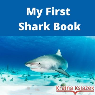 My First Shark Book Carrie Casey 9781954885097 Cey Press - książka