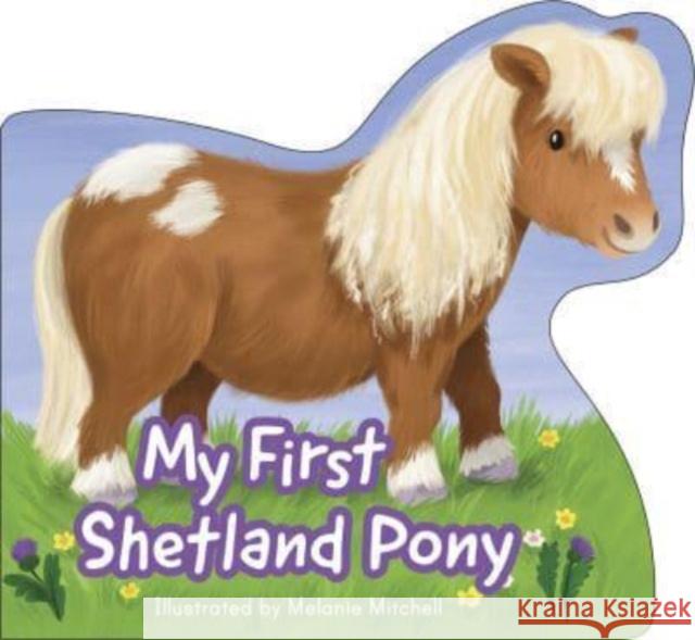 My First Shetland Pony  9781782508915 Floris Books - książka