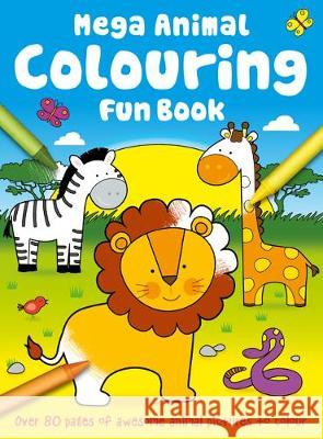 My Fun Copy Colouring Book  9781786703514 Bonnier Books Ltd - książka