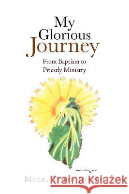 My Glorious Journey: From Baptism Priestly Ministry Joseph, Msgr Theo 9781462861224 Xlibris Corporation - książka