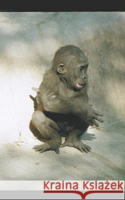 My Inked Views Kundai Pfumayaramba Kundai Edward Pfumayaramba 9781520853611 Independently Published - książka