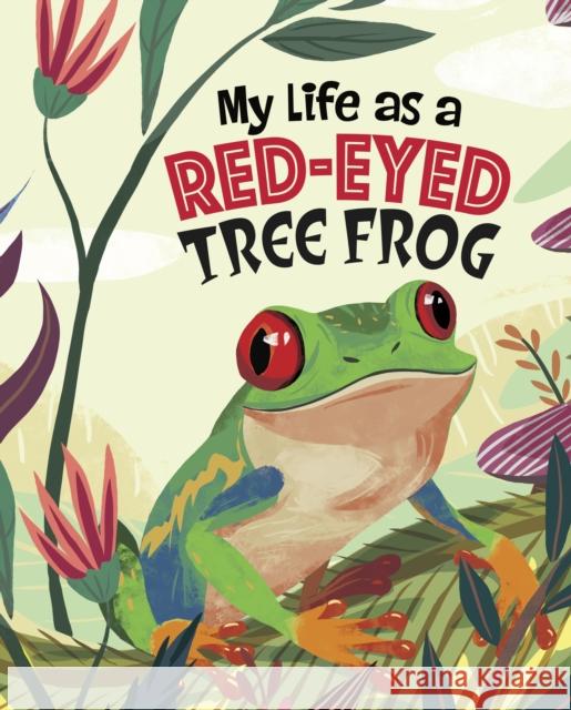 My Life as a Red-Eyed Tree Frog John Sazaklis 9781398248915 Capstone Global Library Ltd - książka