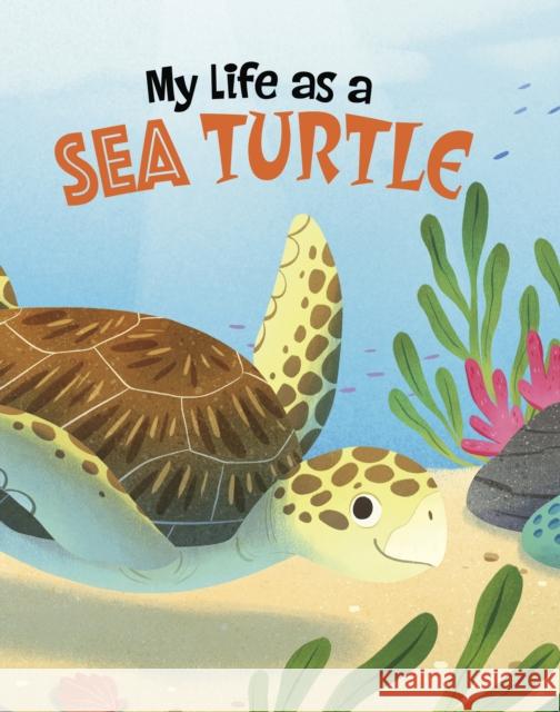 My Life as a Sea Turtle John Sazaklis 9781398248922 Capstone Global Library Ltd - książka