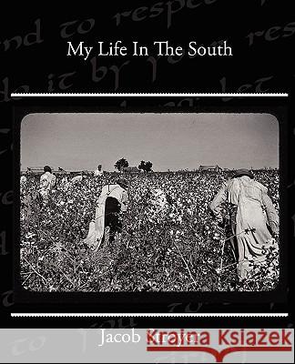 My Life In The South Stroyer, Jacob 9781438519937 Book Jungle - książka