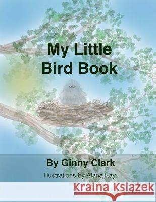 My Little Bird Book Ginny Clark 9781732201804 Violet Phoenix Publishing - książka