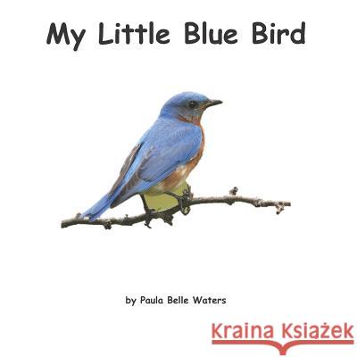 My Little Blue Bird Paula Belle Waters 9781074163013 Independently Published - książka
