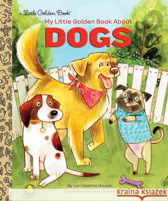 My Little Golden Book about Dogs Haskins Houran Lori 9780399558139 Golden Books - książka