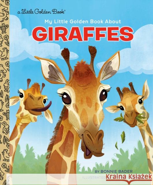 My Little Golden Book about Giraffes Stephanie Laberis 9780593898062 Golden Books - książka