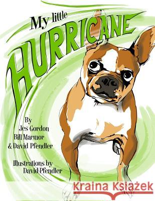 My Little Hurricane Jes Gordon Bill Marmor David Pfendler 9780615768069 Jes Gordon - książka