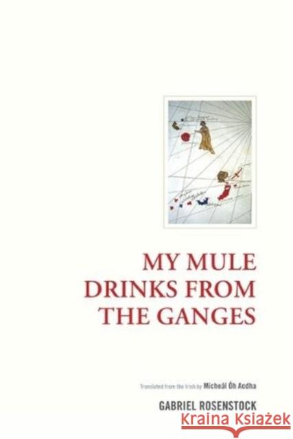 My Mule Drinks from the Ganges Rosenstock, Gabriel 9781936320486 Academica Press - książka