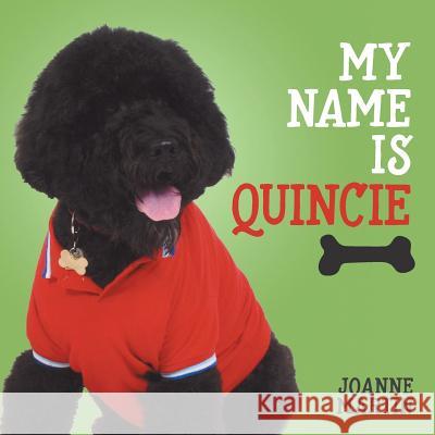 My Name is Quincie Martin, Joanne 9781525537417 FriesenPress - książka