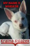 My Name is Wheatie Ocasio, Joana Acevedo 9781500212056 Createspace