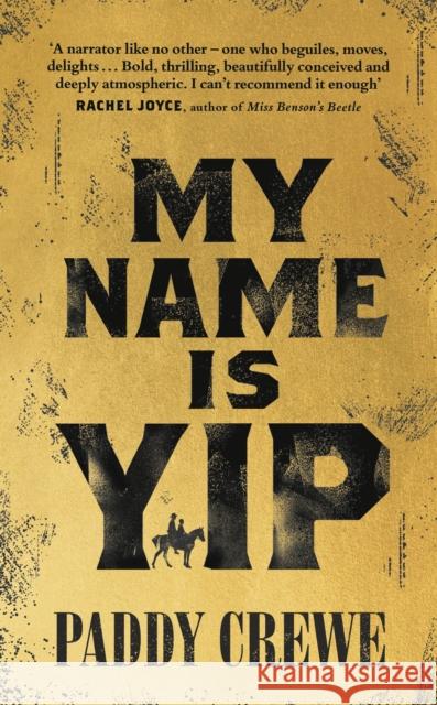 My Name is Yip: Shortlisted for the Betty Trask Prize Paddy Crewe 9780857527912 Transworld Publishers Ltd - książka