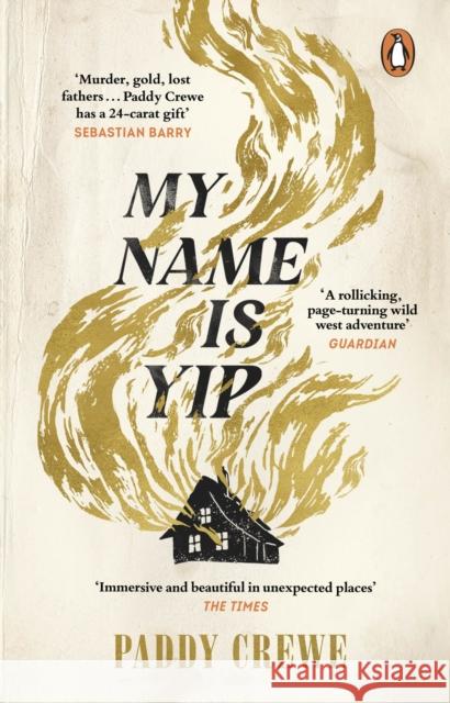 My Name is Yip: Shortlisted for the Betty Trask Prize Paddy Crewe 9781804991022 Transworld Publishers Ltd - książka
