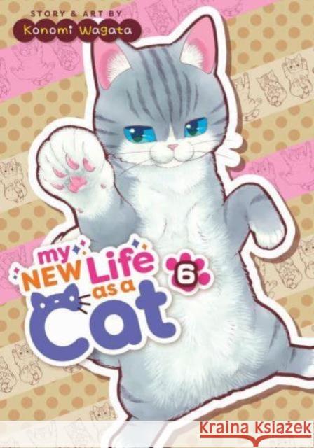 My New Life as a Cat Vol. 6 Konomi Wagata 9798888431603 Seven Seas Entertainment, LLC - książka