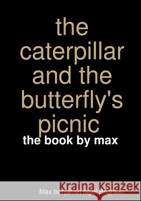 My Paperback Book Max Brighton 9780244047122 Lulu.com - książka