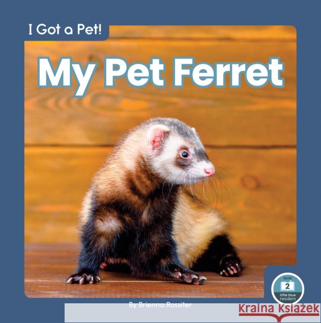 My Pet Ferret Rossiter, Brienna 9781646195879 North Star Editions - książka