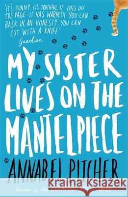 My Sister Lives on the Mantelpiece Pitcher Annabel 9781780621869 Hachette Children's Group - książka