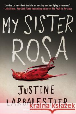 My Sister Rosa Justine Larbalestier 9781616958176 Soho Teen - książka