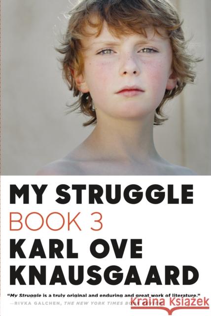 My Struggle, Book 3 Karl Ove Knausgaard Don Bartlett 9780374534165 Farrar Straus Giroux - książka