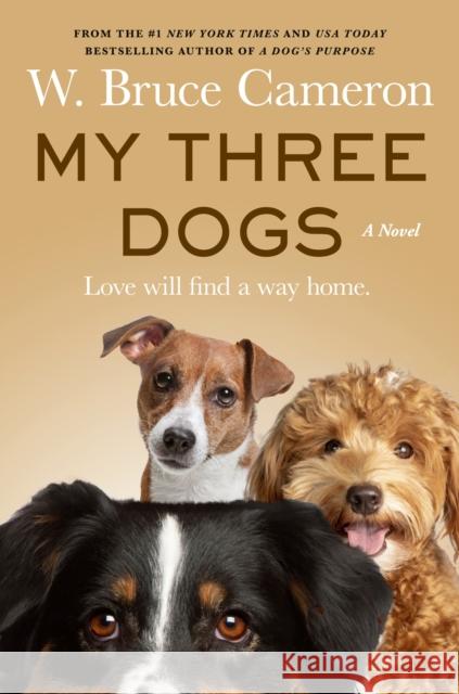 My Three Dogs: A Novel W. Bruce Cameron 9781250900203 Tor Publishing Group - książka