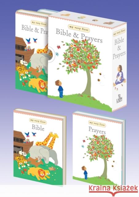 My Very First Bible and Prayers: Mini Box Set Rock, Lois 9780745961866  - książka