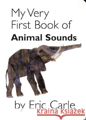My Very First Book of Animal Sounds Eric Carle Eric Carle 9780399246487 Philomel Books - książka