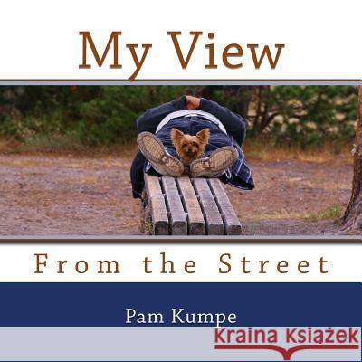 My View from the Street Pam Kumpe 9780692809273 Pam Kumpe - książka