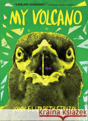 My Volcano John Elizabeth Stintzi 9781953387165 Two Dollar Radio - książka