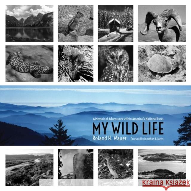 My Wild Life: A Memoir of Adventures Within America's National Parks Wauer, Roland H. 9780896728851 Texas Tech University Press - książka