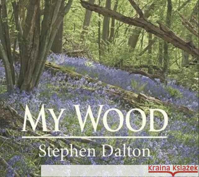 My Wood Stephen Dalton 9781910723449 Merlin Unwin Books - książka