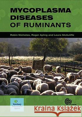 Mycoplasma Diseases of Ruminants: Disease, Diagnosis and Control Robin Nicholas Roger Ayling 9780851990125 CABI PUBLISHING - książka