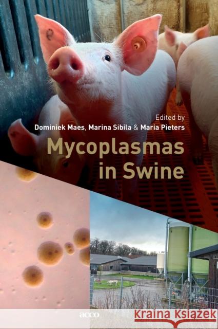 Mycoplasmas in Swine Dominiek Maes, Marina Sibila, Maria Pieters 9789463797962 Acco - książka