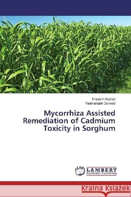 Mycorrhiza Assisted Remediation of Cadmium Toxicity in Sorghum Kumar, Prasann; Dwivedi, Padmanabh 9783330332799 LAP Lambert Academic Publishing - książka