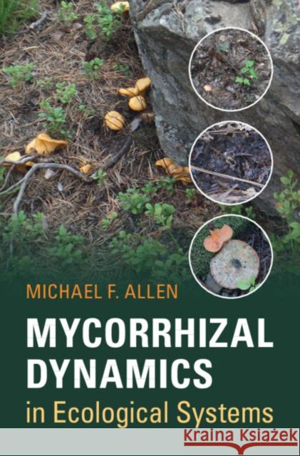 Mycorrhizal Dynamics in Ecological Systems Michael F. Allen 9780521831499 Cambridge University Press - książka