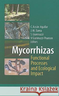 Mycorrhizas - Functional Processes and Ecological Impact Concepcion Azcon-Aguilar 9783540879770  - książka