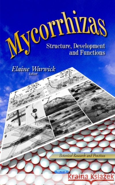 Mycorrhizas: Structure, Development & Functions Elaine Warwick 9781633214361 Nova Science Publishers Inc - książka